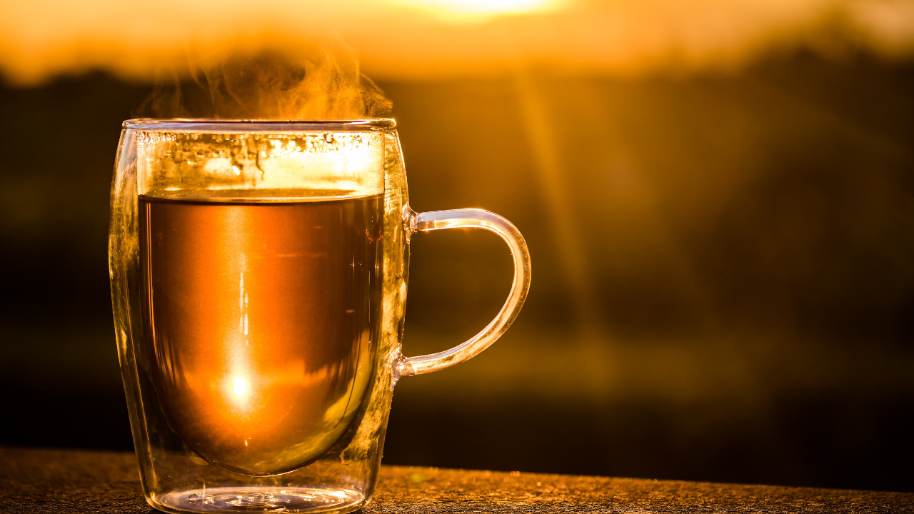 Read more about the article Die erstaunlichen Vorteile von Guayusa-Tee: Entdecke ein einzigartiges Getränk voller Energie und Gesundheit